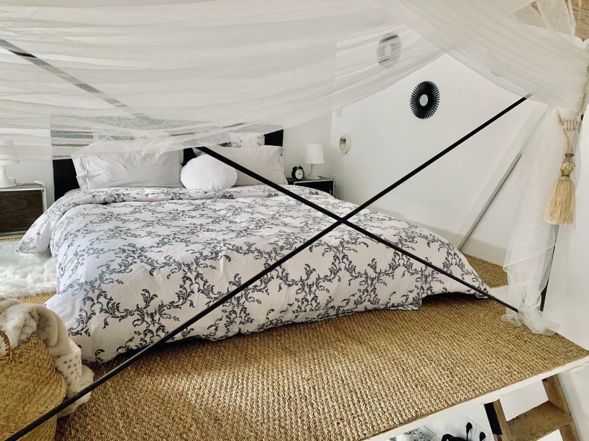 Mini-Loft, Clos Des Arts - Parking Gratuit أفينيون المظهر الخارجي الصورة
